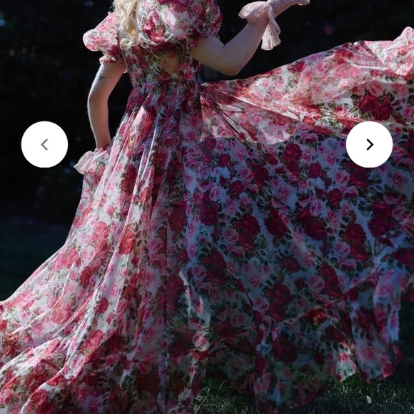 Selkie Roses are Red Sheer Ruffle Gown- NWT- medium - Picture 2 of 3